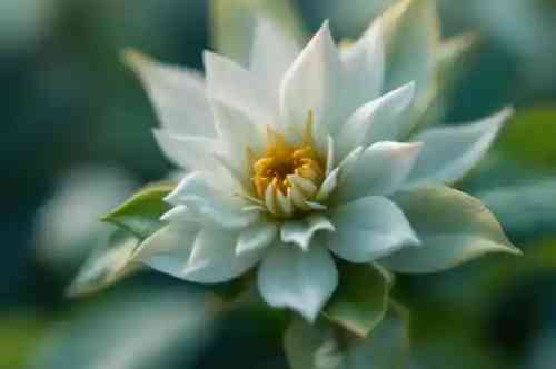 KUMASI recipe served in a glass, by Pekin the Chef